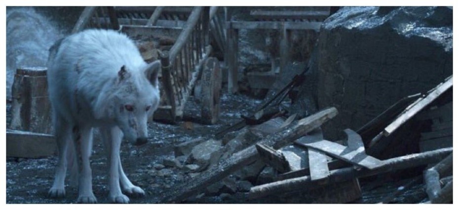 Game Of Thrones Director Real Reason Why Jon Snow Didn T Pet Ghost